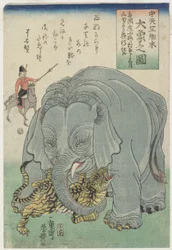 Elefante de la India con tigre